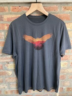 Icebreaker Men's Tech Lite Short Sleeve Crewe Wingscape t-shirt